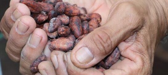 Ações do Governo de RO impulsionam o crescimento do estado no setor