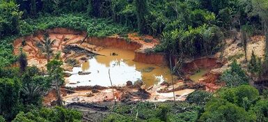 MPF recomenda ao ICMBio registro detalhado de infrações em operações no Amazonas e em Rondônia