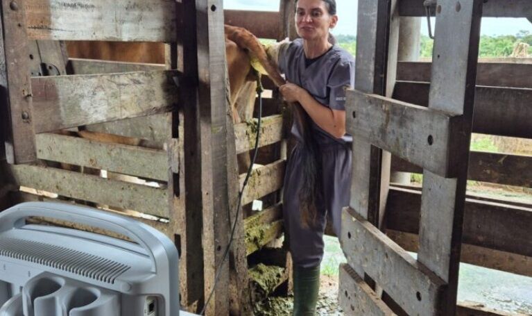 Emater auxilia produtores da Zona da Mata na avaliação do rebanho leiteiro