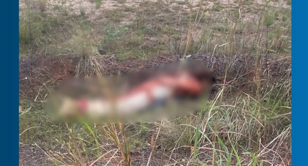 VIOLÊNCIA EM RORAIMA - Mortes, protesto e resgate marcam o fim de semana na terra dos macuxi's