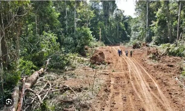 SÓ SE OS ÍNDIOS DEIXAREM - MPF exige nova consulta a indígenas antes de abertura de ramal que liga cidades do Acre