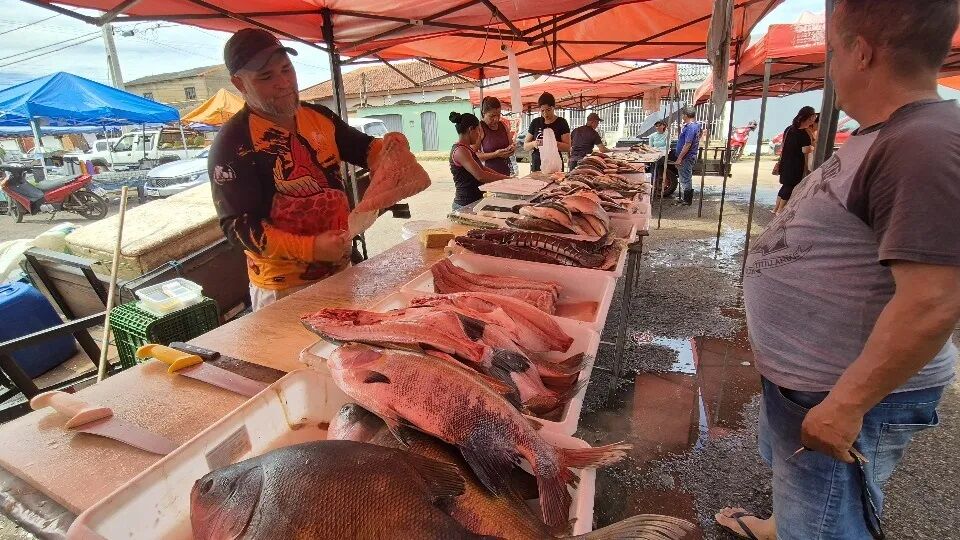 Tradição da Semana Santa aquece vendas de peixe em Porto Velho