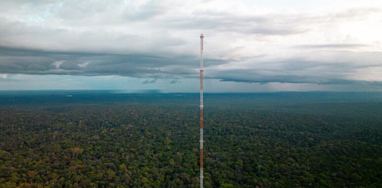 AMAZÔNIA VISTA DO ALTO - Conheça os mirantes e torres que oferecem uma nova perspectiva da floresta