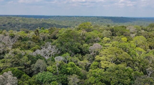 GRAVE INSEGURANÇA JURÍDICA - No Acre, quase 80% dos donos de terras rurais correm risco de perder propriedades para a União

 