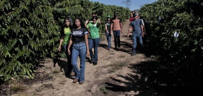 Governo abre, oficialmente, a colheita de Café Robusta em São Miguel do Guaporé, RO