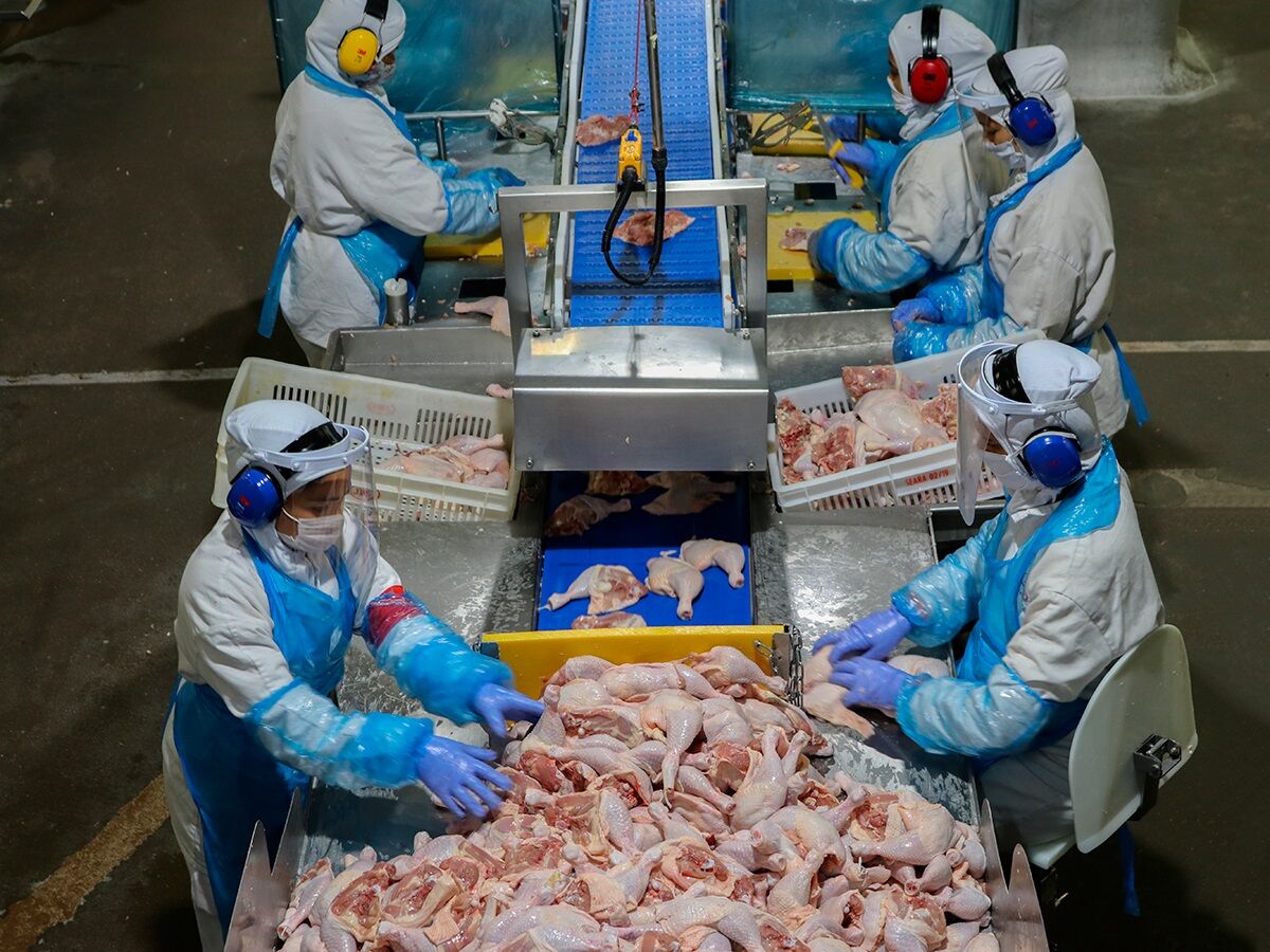 QUATRO EMERGÊNCIAS SANITÁRIAS - Já são 7 países que deixam de comprar frango e seus derivados do Brasil