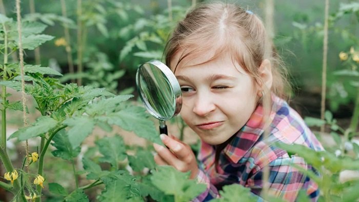 AS PLANTAS FALAM, SABIA? - 7 fatos surpreendentes sobre plantas que você precisa conhecer


