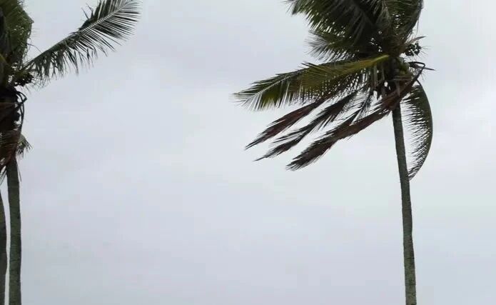 FRIAGEM CHEGOU - Veja regiões do país que podem ter recorde de frio; em Rondônia pode ter pancadas de chuva e temperatura de 20º a 27º