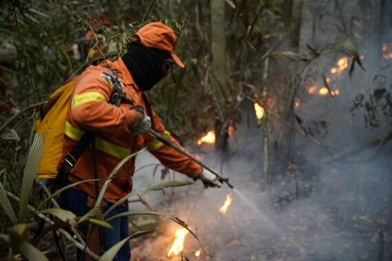 Governo se prepara para enfrentar as queimadas e os rigores climáticos