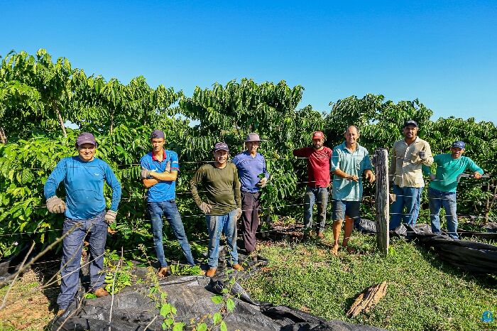 O AGRO EM BOAS MÃOS - Produção de café dobra e realiza sonhos em Nova Brasilândia do Oeste