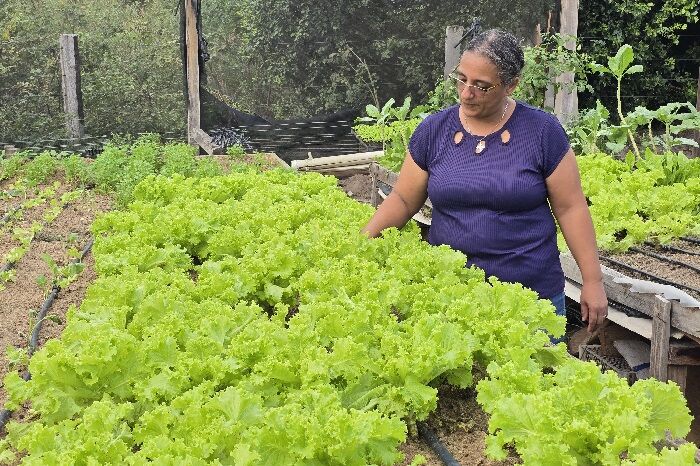 O AGRO EM BOAS MÃOS - Investimento na agricultura familiar muda realidade de famílias de Costa Marques

