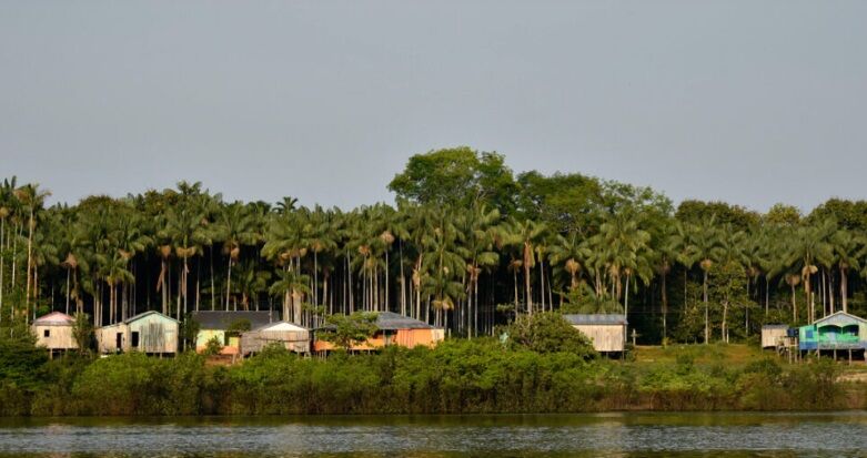 DIA DO MEIO AMBIENTE - A Amazônia não é cenário — é protagonista da vida no planeta