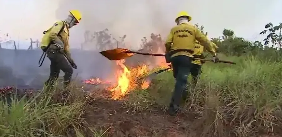PREVENÇÃO E COMBATE - I Encontro “Rondônia Contra as Queimadas” para fortalecer estratégias de prevenção e combate a incêndios florestais