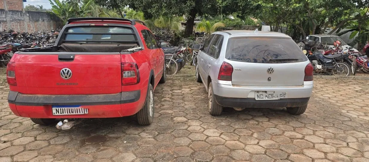 OPERAÇÃO PROTETOR - Forças de segurança apreendem quase 50 kg de skunk e prendem dupla durante operação no interior de Rondônia 

