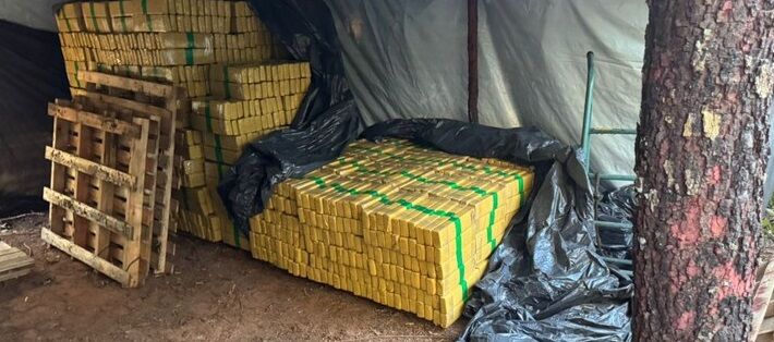 NO MEIO DA MATA - FICCO/MS Apreende mais de oito toneladas de maconha em acampamento clandestino no interior de Mato Grosso do Sul
