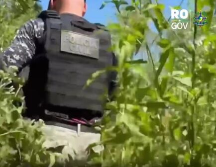 RECADO: COMBATE PERMANENTE - Ação de combate a crimes ambientais no Parque Estadual de Guajará-Mirim em RO; veja vídeo