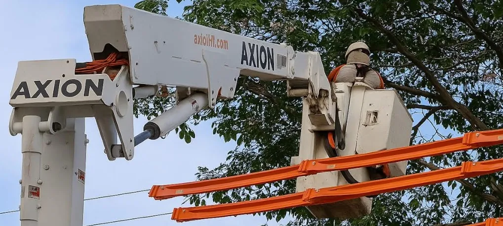 ATOS E AÇÕES PREVENTIVAS - Energisa alerta sobre o risco do plantio de árvores perto da rede elétrica



