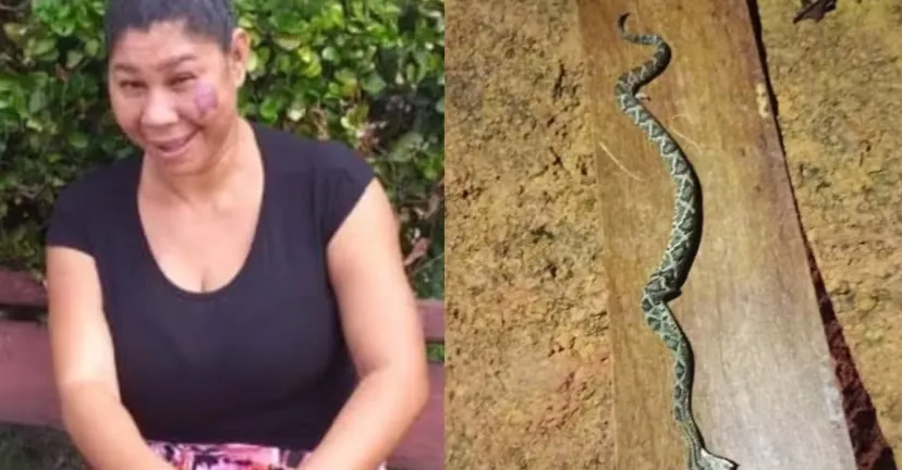 RORAIMA - Mulher é picada ao confundir cascavel com corda e morre, em Roraima
