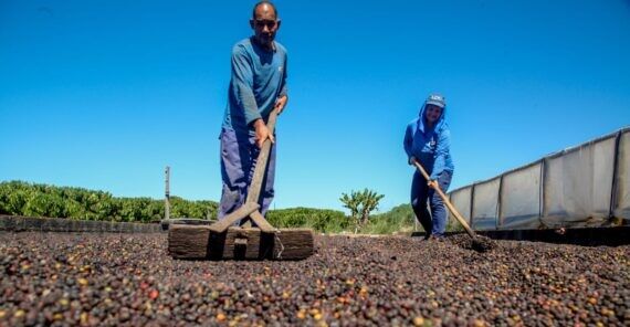 ASSISTÊNCIA TÉCNICA - Nova sede da Emater entregue pelo governo de RO em Alta Floresta d’Oeste une tecnologia e apoio direto ao produtor
