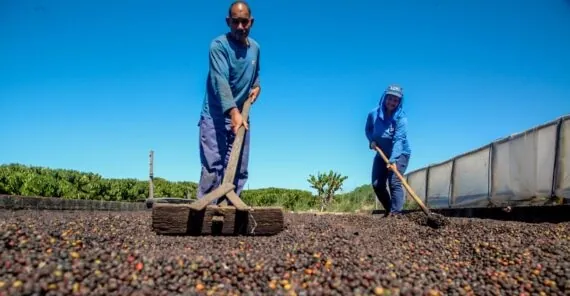 ASSISTÊNCIA TÉCNICA - Nova sede da Emater entregue pelo governo de RO em Alta Floresta d’Oeste une tecnologia e apoio direto ao produtor