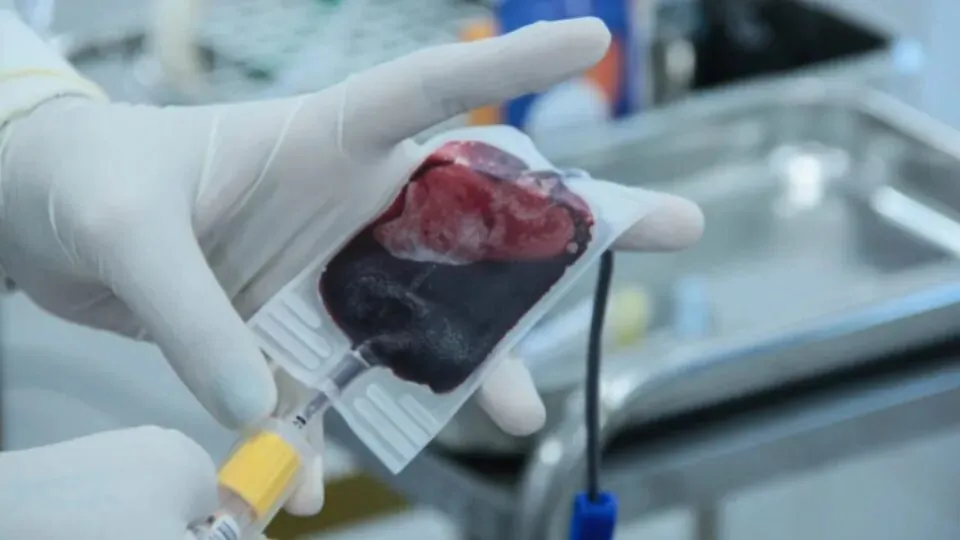 PREOCUPANTE - Fhemeron reforça ações para manter estoques de sangue no período de férias
