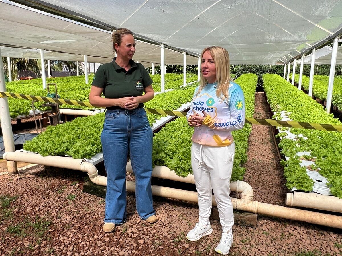 GALPÕES DE HORTALIÇAS - Ieda Chaves investe mais de R$ 90 mil para fortalecer produção agrícola em Nova Mutum Paraná