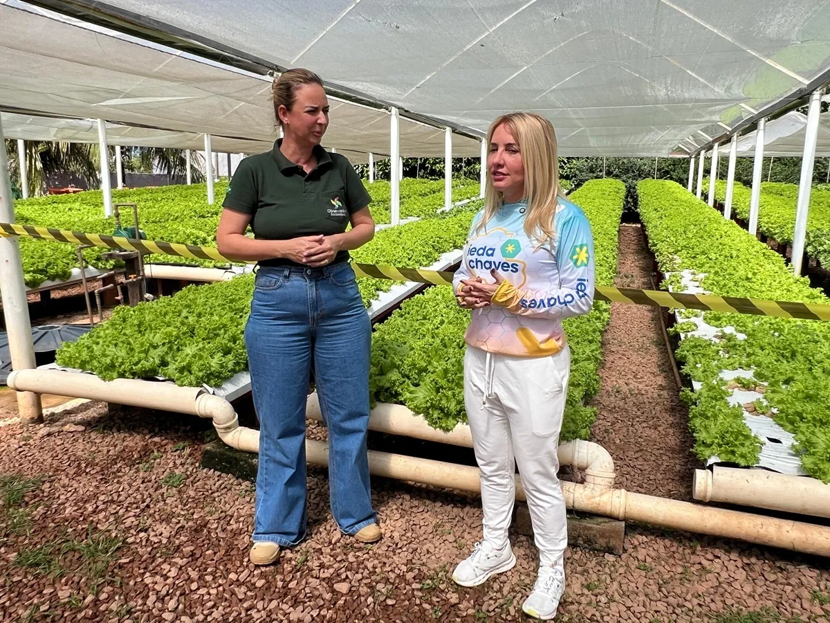 GALPÕES DE HORTALIÇAS - Ieda Chaves investe mais de R$ 90 mil para fortalecer produção agrícola em Nova Mutum Paraná