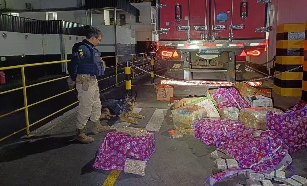 SAIU DE RONDÔNIA - PRF apreende 400 kg de maconha escondidos em carga de carne