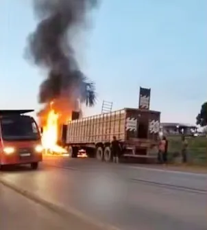 'CHURRASCO' PERDIDO -  Caminhão boiadeiro pega fogo após colisão e mata vários animais na BR-319, em Porto Velho 
