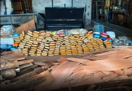 DESTRUÍDAS - POLÍCIA INCINERA MAIS DE MEIA TONELADA DE DROGAS EM VILHENA EM AÇÃO CONTRA O TRÁFICO