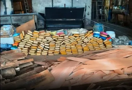 DESTRUÍDAS - POLÍCIA INCINERA MAIS DE MEIA TONELADA DE DROGAS EM VILHENA EM AÇÃO CONTRA O TRÁFICO