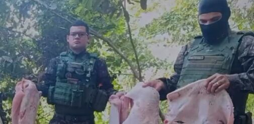 OPERAÇÃO HILEIA - Batalhão Ambiental apreende 110 kg de pescado irregular no Rio Madeira