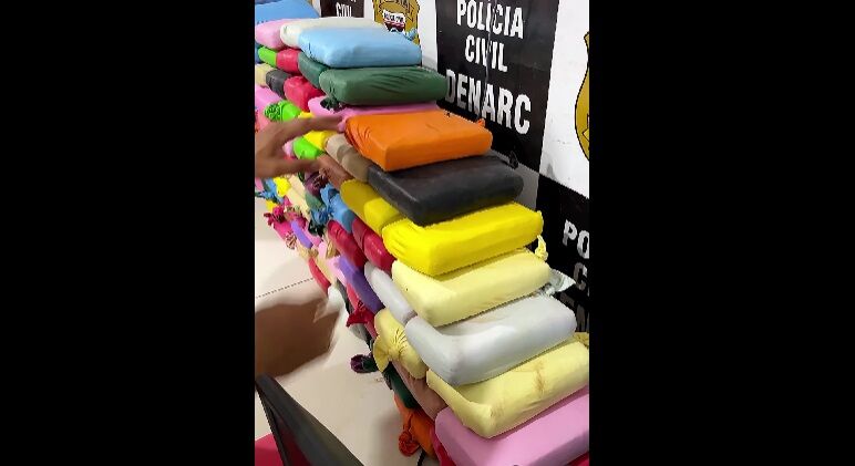 DROGA DE ALTO VALOR - PC de Rondônia apreende 171 kg de skunk em ação integrada com Amazonas e Receita Federal; veja o vídeo