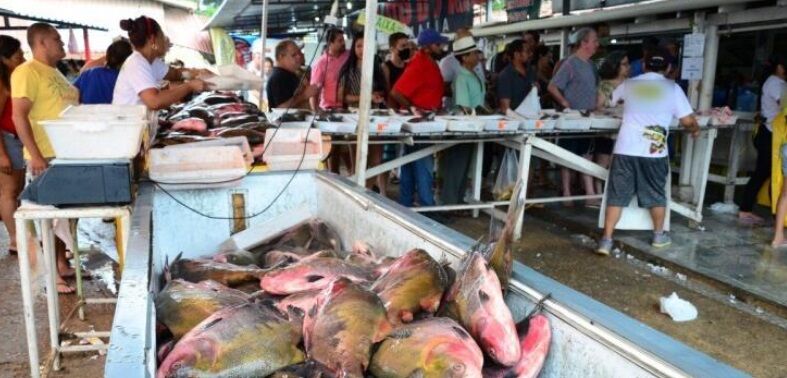 EXEMPLO PARA RONDÔNIA - ALERR aprova isenção de ICMS para venda de pirarucu e tambaqui até 2027