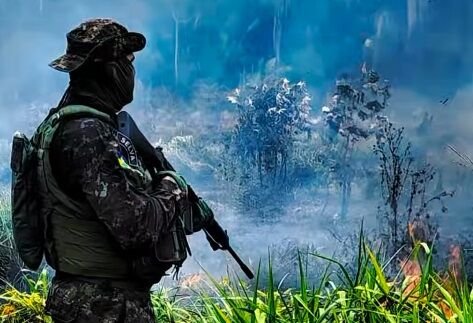 VERÃO ARDENTE - Autoridades reforçam alerta: queimadas são crime e ameaça direta à vida; veja vídeo
