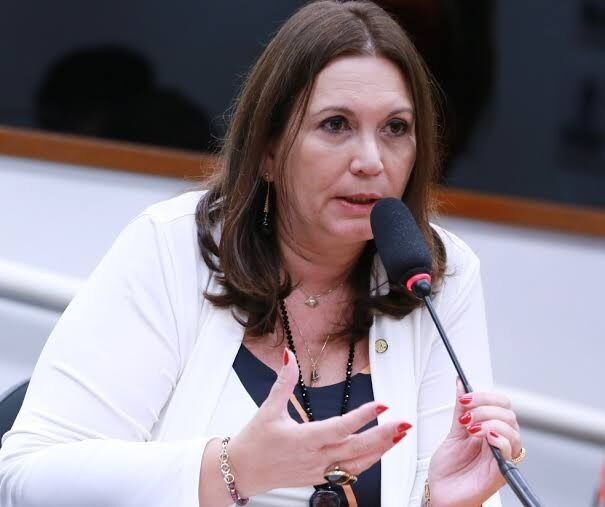 BANDIDOS IMPUNES - Bia Kicis encaminha representação ao CNJ contra juiz que autorizou soltura de acusado com 86 passagens pela polícia 