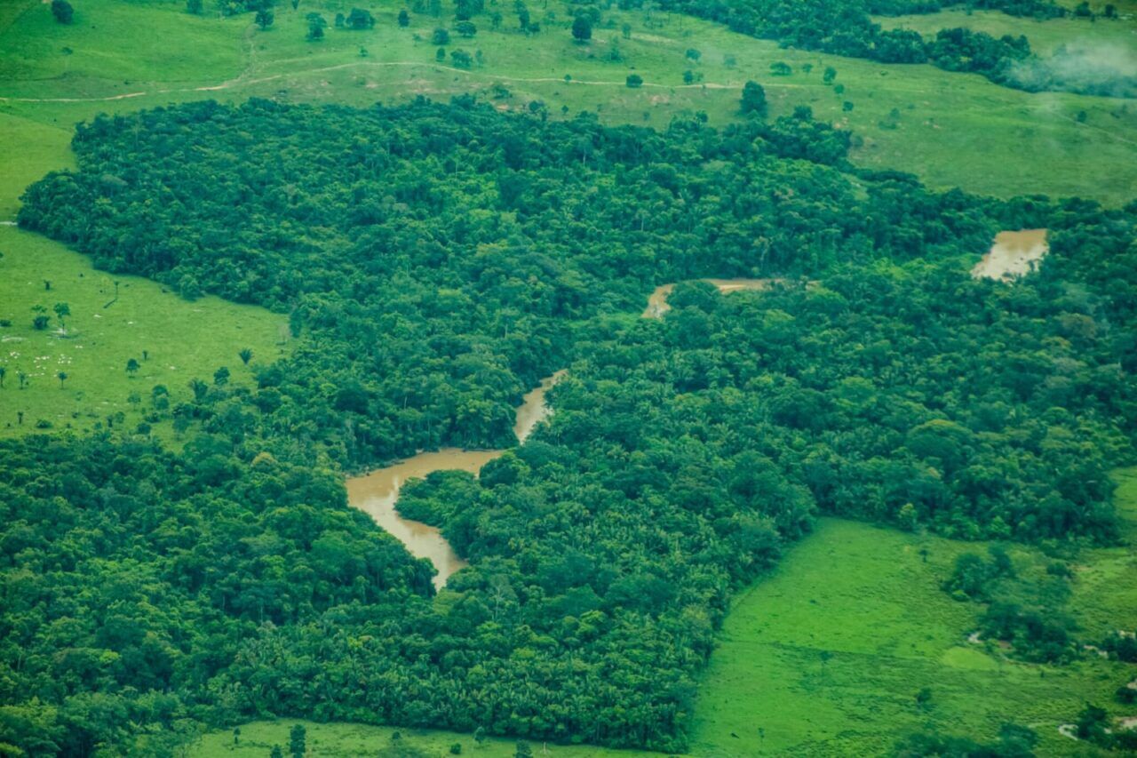 SOB CONTROLE, ATÉ AGORA - Rondônia tem redução de 35% na taxa de desmatamento entre o período de agosto de 2024 a julho de 2025