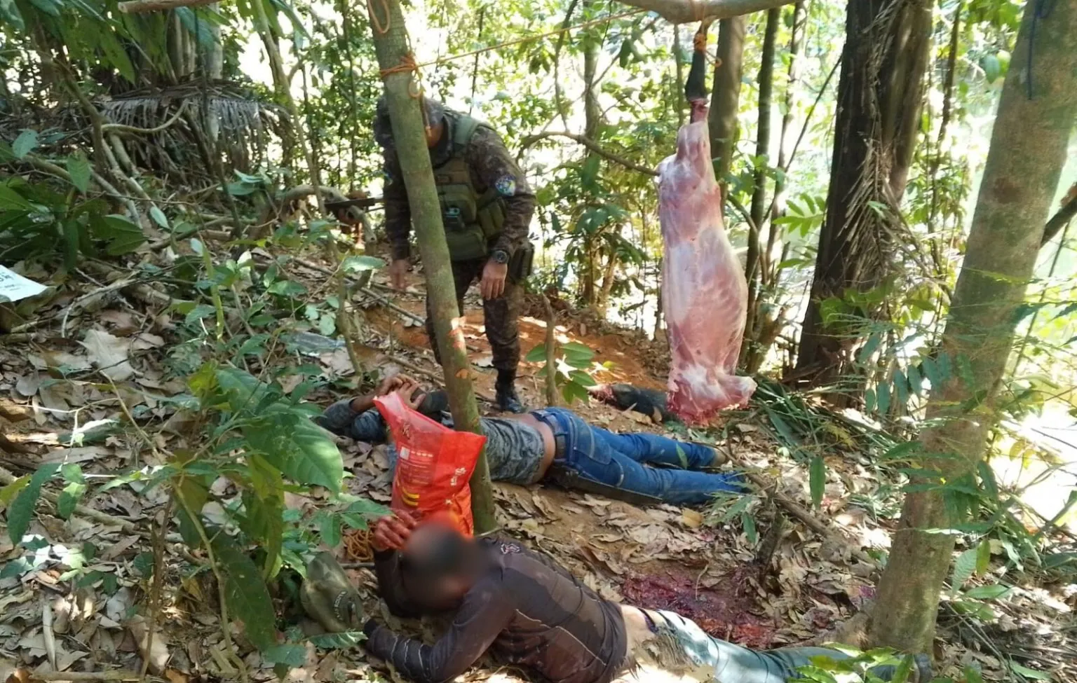 ASSASSINOS DE ANIMAIS - Operação Verde Rondônia flagra caça ilegal e porte de arma de fogo em área de floresta nativa