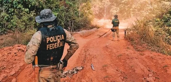 OPERAÇÃO SENTINELAS DA AMAZÔNIA - Dois meses com redução de queimadas e prisões por crimes ambientais