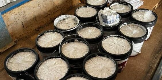 OPERAÇÃO SPACKLE - Polícia Federal apreende 62,4 kg de cocaína durante operação em Ariquemes (RO) 
