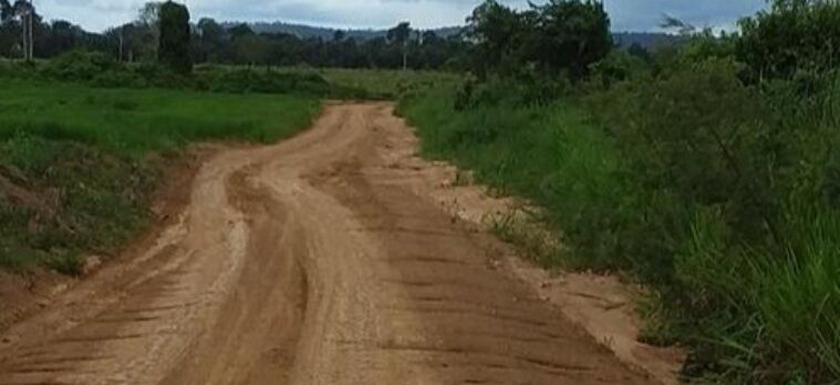 Dra. Taíssa solicita revitalização da estrada LH 0 que liga Rio Pardo a Alto Paraíso