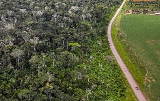GOVERNO DESPREZA A CIÊNCIA - Severa crise financeira alcança eixo indutor da revolução verde no Brasil
