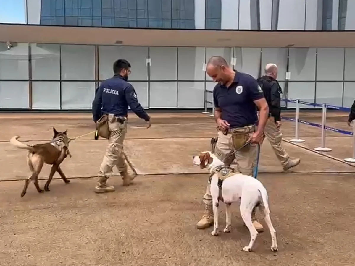 STF COM MEDO DO POVO - Polícia Judiciária faz varredura com cães na entrada do STF no dia do início do julgamento da suposta “trama golpista”
