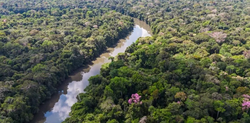 SESSÃO EXTRAORDINÁRIA - Deputados aprovam recursos para fortalecer gestão de recursos hídricos e ações climáticas em RO

