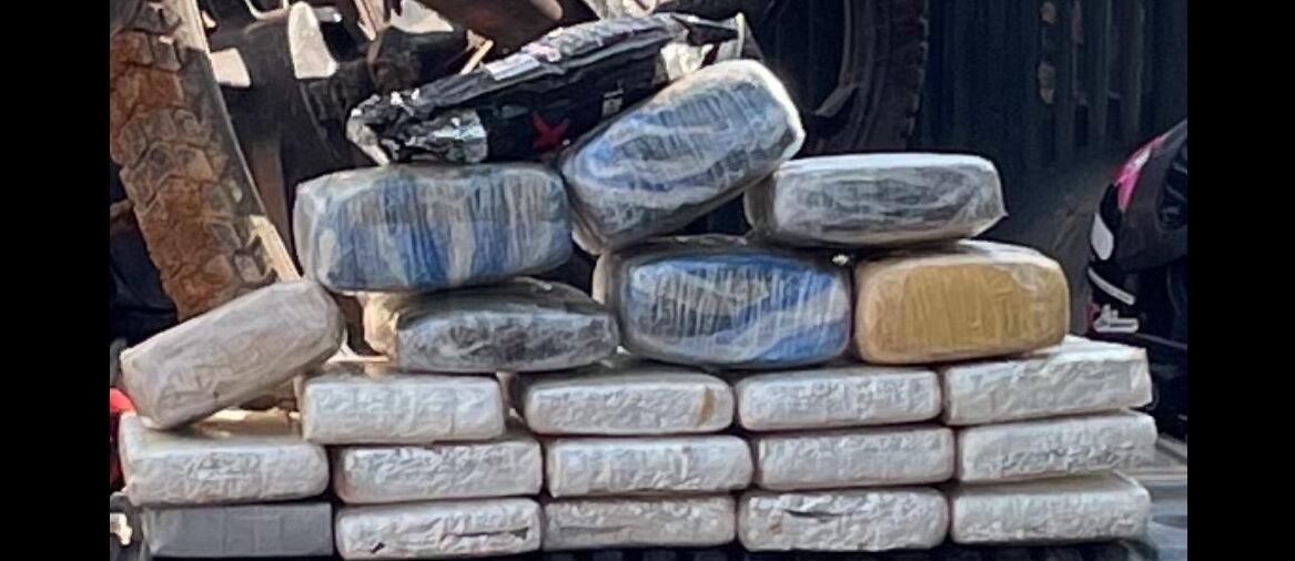 DROGA EM NOVA MAMORÉ - Polícia Militar de Rondônia apreende 24 kg de maconha e prende suspeito em flagrante 
