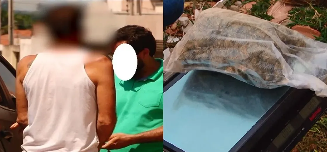 PRESO - Investigadores encontram e apreendem maconha em galinheiro
