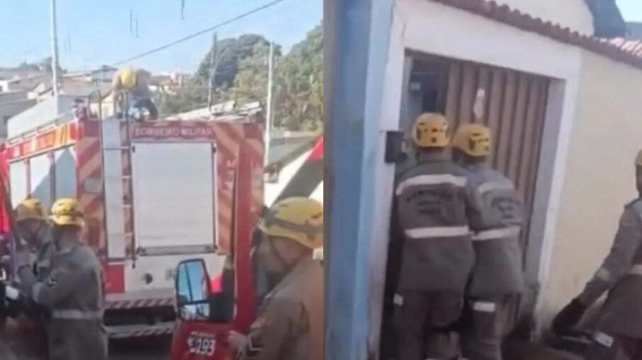 ATAQUE BRUTAL - Idosa morre após ser atacada por pitbull em Goiás
