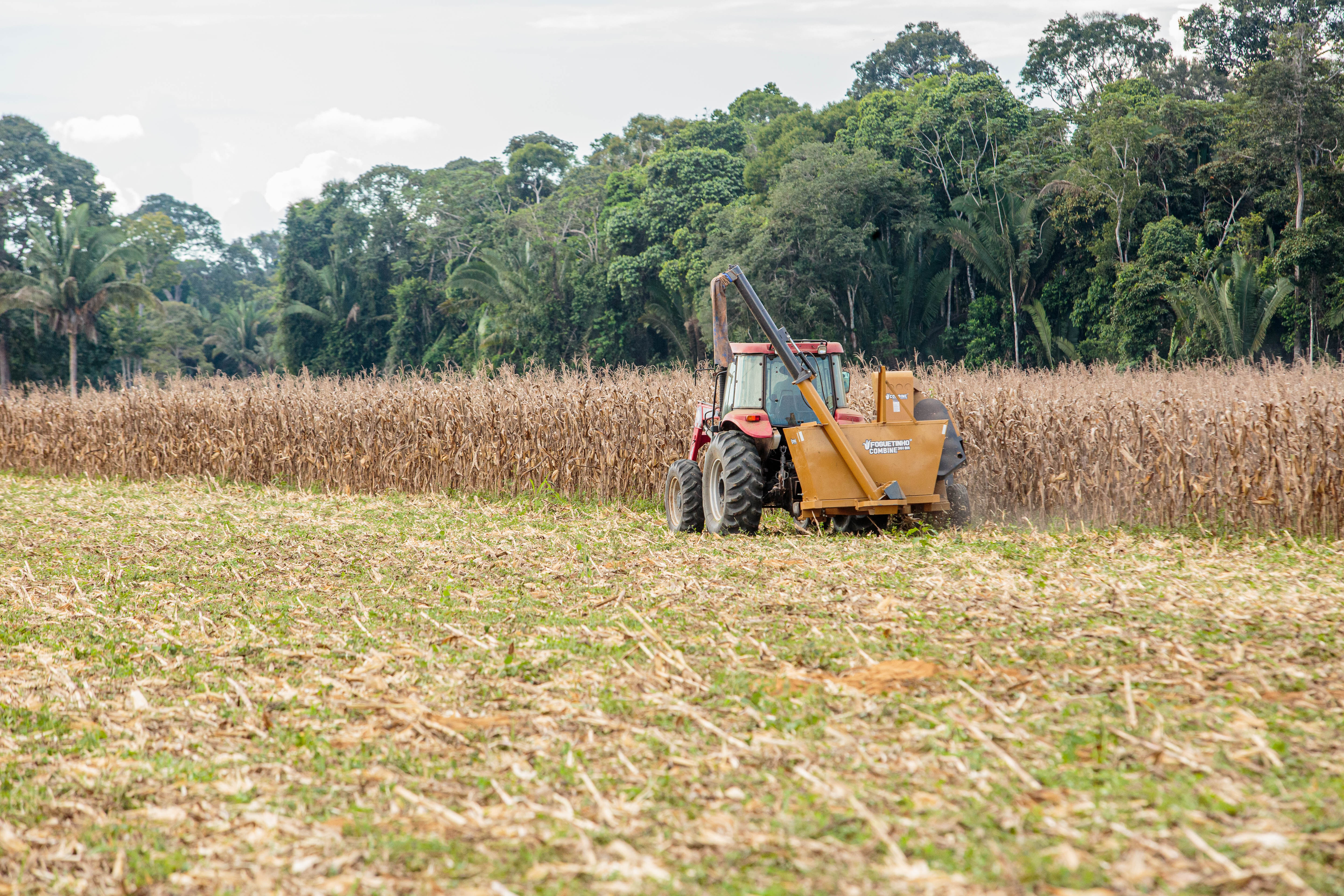 DINHEIRO PRO ROCHA TRABALHAR - Assembleia aprova crédito suplementar de R$ 23,8 milhões para fortalecimento da agricultura em Rondônia

