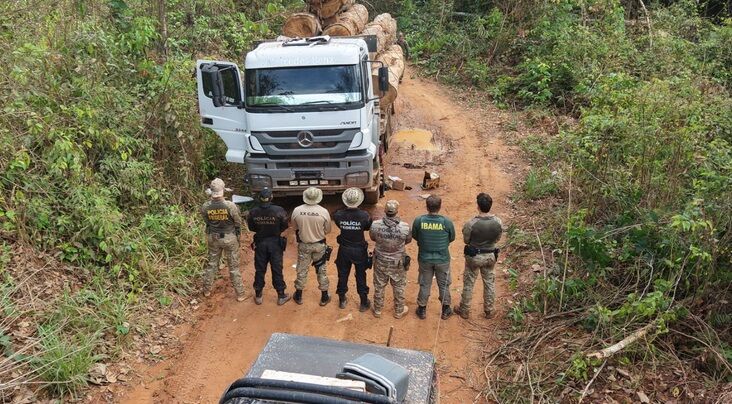 OPERAÇÃO LIGNUM II - PF combate extração ilegal de madeira em terra indígena em Rondônia

