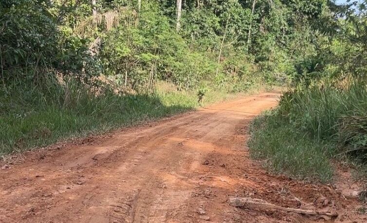 CAMINHOS DO PARAÍSO - Deputado Alex Redano solicita melhorias na estrada de acesso ao Lago do Cuniã, em Porto Velho

